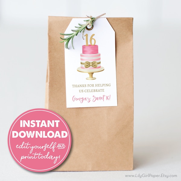 Editable Sweet 16 Birthday Party Favor Tag Template, Girl's 16th Birthday, INSTANT DOWNLOAD! Printable Party Favor, Goodie Bag, 0283