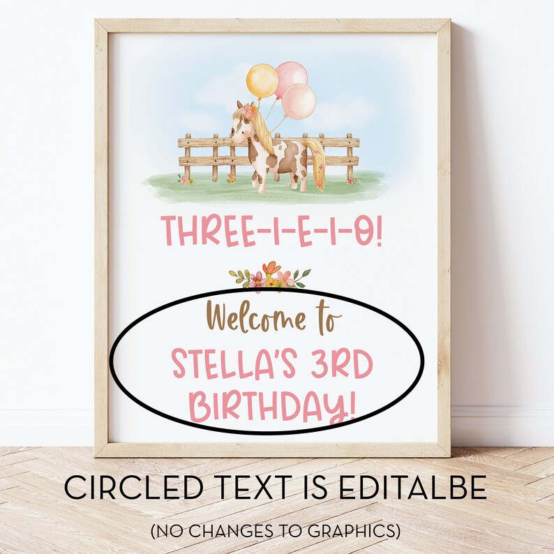 Puede incluir: Un cartel de fiesta de cumplea&ntilde;os imprimible con una ilustraci&oacute;n de acuarela de un pony marr&oacute;n y blanco sosteniendo globos. El cartel dice "THREE-I-E-I-O! Bienvenido a STELLA'S 3RD BIRTHDAY!" El texto en el &oacute;valo es editable.
