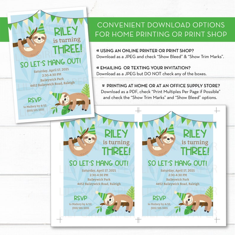 Editable Cute Sloth Boy Birthday Invitation Template, INSTANT DOWNLOAD, Come Hang Out, Jungle Gym Birthday, Little Boy Party Invite, 0278 image 2