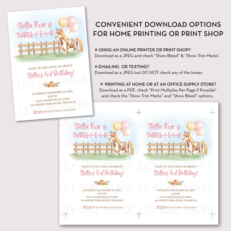 Three-i-e-i-o 3rd Birthday Party Invitation Template, Editable, Girl's Farm Party, INSTANT DOWNLOAD, Print or Email Your Invitation, 0344 image 2