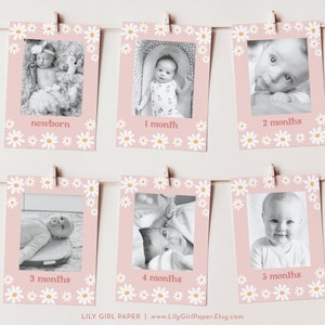 May include: Six pink cards with white daisy borders and black and white photos of a baby at different ages. The cards are labeled with the baby's age in months: newborn, 1 month, 2 months, 3 months, 4 months, and 5 months.