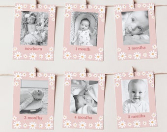 Girl's 1st Birthday Monthly Photo Banner, Editable, Groovy Girl, Boho, Daisies, Newborn through 12 months photos, Photo Display, 0291 0888