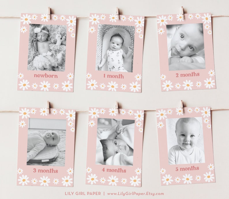 May include: Six pink cards with white daisy borders and black and white photos of a baby at different ages. The cards are labeled with the baby's age in months: newborn, 1 month, 2 months, 3 months, 4 months, and 5 months.