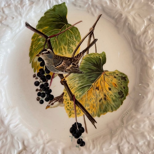 4 1940’s Embossed Alfred Meakin Audobon Birds Plates (SEE Description: Includes shops Unique Wren Plate)