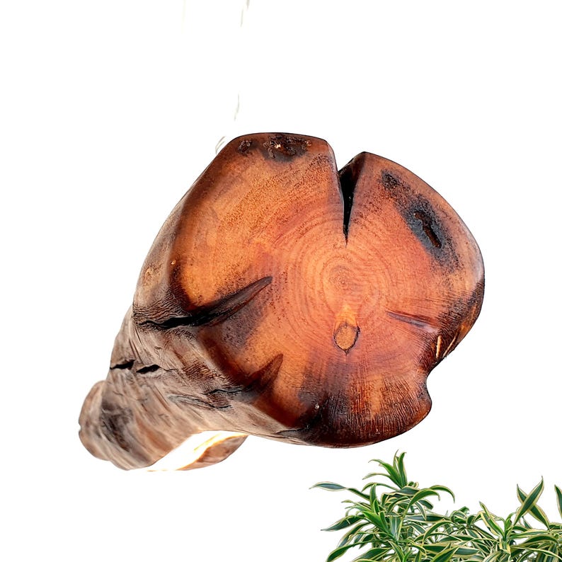 Driftwood Chandelier, Rustic Light Fixture, Farmhouse Light, Kitchen