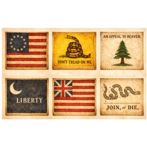 May include: A collage of six vintage-style rectangular images featuring historical flags and symbols. The images include the Betsy Ross flag, the Gadsden flag with "DON'T TREAD ON ME", and the "JOIN, or DIE" snake emblem.
