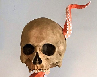 Tentacle Skull Sculpture, weird decor