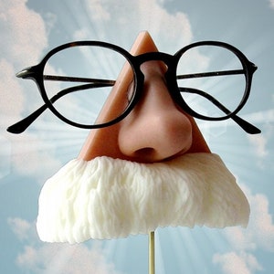 Nose eyeglasses holder, white mustache, Albert Einstein, Mark Twain, Father gift, eyewear display, sunglasses stand,
