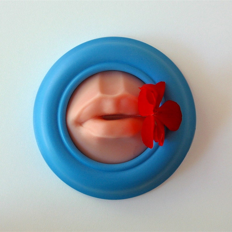 Rubber lips wall hanging art object Framed silicone rubber Etsy
