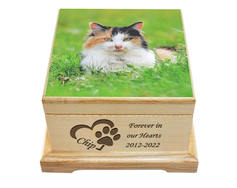 May include: A wooden pet urn with a photo of a calico cat on the lid. The front of the urn has a heart and paw print design with the name "Chip" and the inscription "Forever in our Hearts 2012-2022".