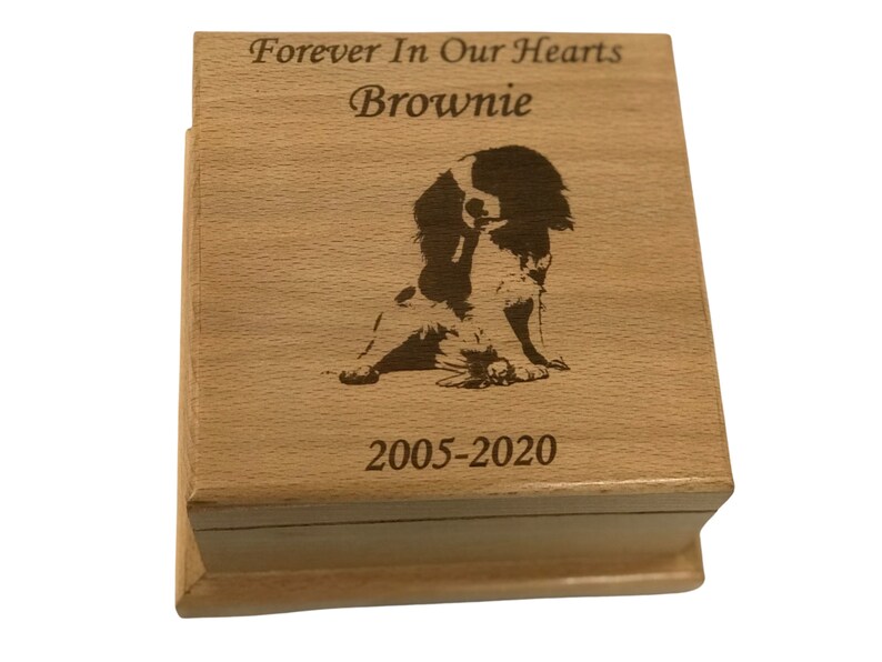 Cremation Pet Urn For A latest surprise price is realized Dogs U Cats Personalized Ashes