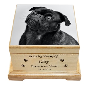 May include: Wooden pet urn with a black and white photo of a pug on the lid. The urn is engraved with "In Loving Memory Of Chip Forever in our Hearts 2012-2022".