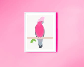 galah print - australian bird pink parrot illustration, kids room art australian nursery wall art decor, modern bird art pink nursery prints