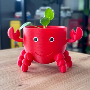 Könnte beinhalten: Ein leuchtend roter, krabbenförmiger Blumentopf mit einem lächelnden Gesicht und schwarzen Augen. Er hat zwei große Scheren und mehrere kleine, runde Beine. Eine kleine grüne Pflanze mit runden Blättern wächst darin. Der Topf steht auf einer Holzoberfläche.