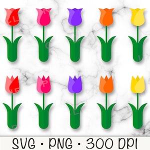 Tulip Flower SVG, Tulip SVG, Tulip PNG, Bright Colorful Tulip, Easter Tulip Flowers Clipart, Spring Flowers,  Instant Digital Download