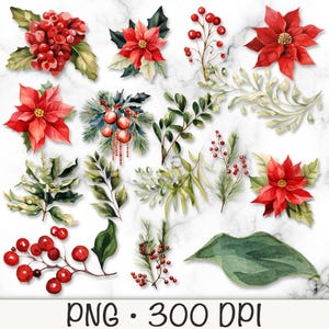 Florais de vegetação de Natal em aquarela, poinsétias em aquarela, Holly Berry, elementos florais DIY, clipart PNG, download digital