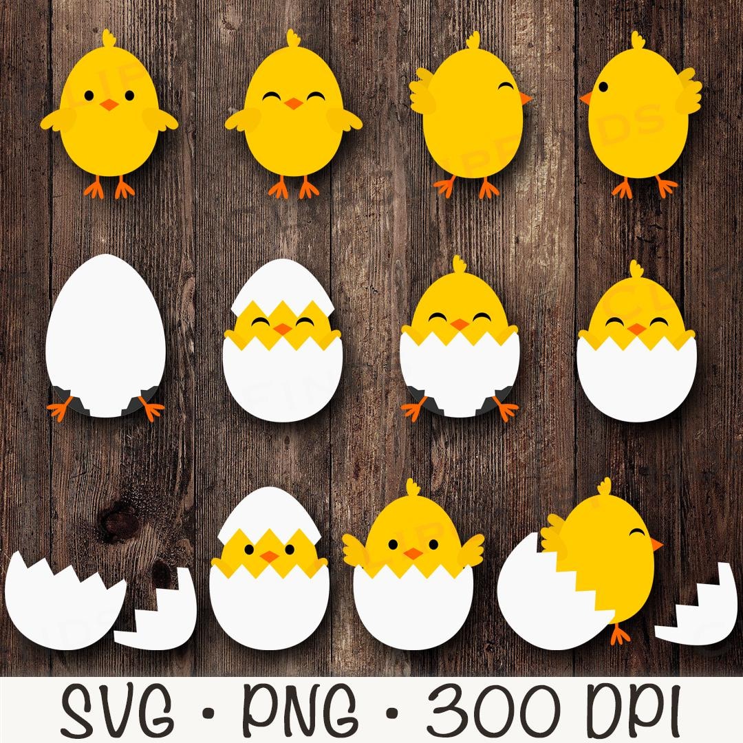 Pollitos de Pascua SVG, Pollitos en huevo roto PNG, Huevos de Pascua  eclosionados Clipart, Pollitos Clipart, Pollitos SVG, Descarga digital -  Etsy México, image size:1080x1080