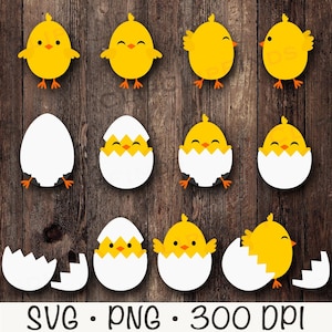 Pollitos de Pascua SVG, Pollitos en huevo roto PNG, Clipart de huevos de Pascua eclosionados, Clipart de pollitos, Pollitos SVG, Descarga digital