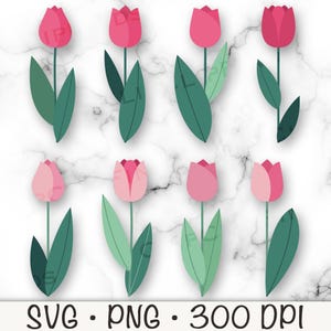 Pink Tulip PNG, Pink Tulip Clipart, Tulip SVG, Spring Flowers, Easter Flowers, Digital Download