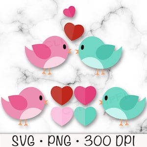 Tortelduifjes PNG Clip Art bundel, dwergpapegaaien SVG, schattige Valentijnsdag dwergpapegaaien, vogeljongen, vogelmeisje, kussende vogels, digitale download