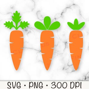 Wortel SVG, wortel PNG, paaswortel PNG, wortel clipart, instant digitale download
