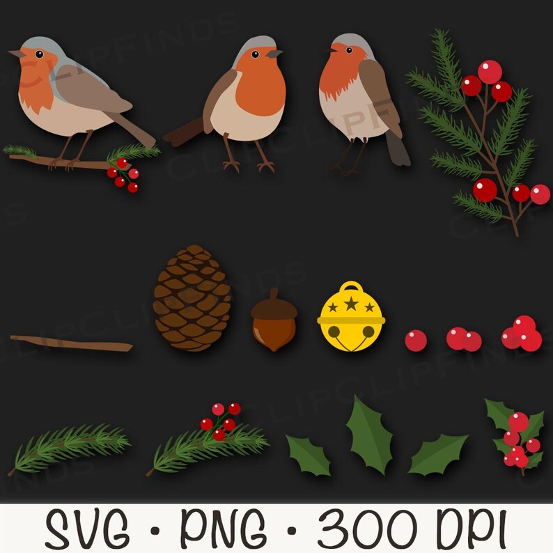 Robin Christmas Bird SVG, Robin and Holly Berry Clip Art PNG Bundle ...