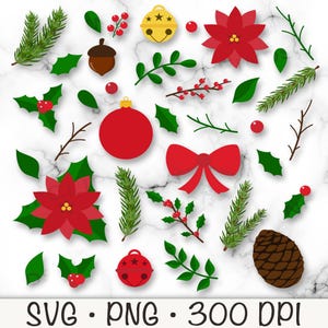 Éléments de verdure de Noël, poinsettia, pomme de pin, gland, baies de houx, branche de pin, fleurs d'hiver, SVG, PNG, feuillage, téléchargement numérique