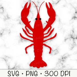 Puede incluir: Silueta roja de un cangrejo de río o langosta sobre un fondo de mármol blanco. SVG. PNG. 300 DPI.