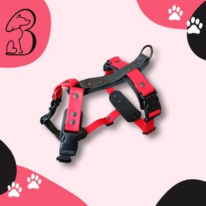 Biothane dog harness | waterproof, durable, customizable, easy to clean