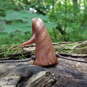 May include: Two brown, cone-shaped objects with a small, curved extension, connected by a thin cord. The objects are on a weathered, textured wooden surface with a blurred green background of foliage and water.