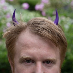 Purple Devil Horns Costume Accessory image 1