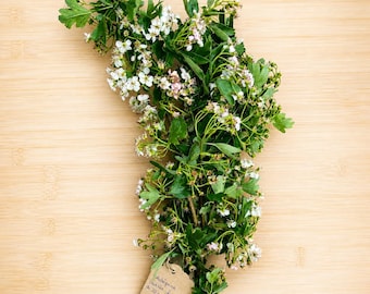 Biancospino di Beltane. Bouquet sacro colto nella notte tra il 30 aprile e il 1° maggio.