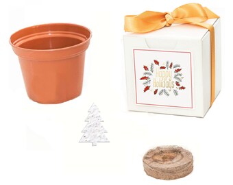 Mini Gift Box Tree Grow Kit,  Small Gift to Love, Nurture, and Grow, Holiday gift for friends, family, coworker, employees, client gift