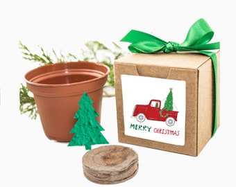 Christmas Tree Grow Kits, Small Gifts, Stocking Stuffers & Party Favors with Personalized Message
