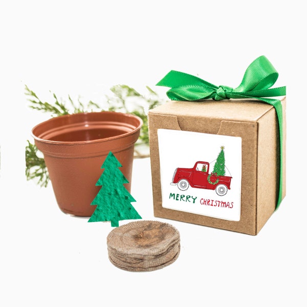 Christmas Tree Grow Kit Gifts - Unique Stocking Stuffers Ideas for Men, Women, Kids, Friends and Family with Personalized Gift Message