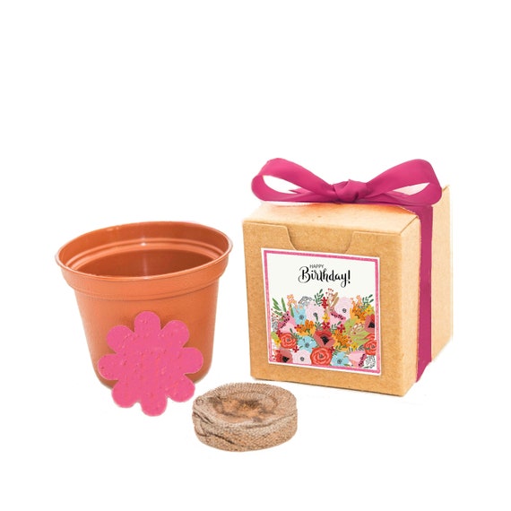 Happy Birthday Flower Seed Kit to Love, Nurture, and Grow - Gardening Gift Fun at Home, Surprise Inside the Flower, Birthday Gift for her Il_570xn