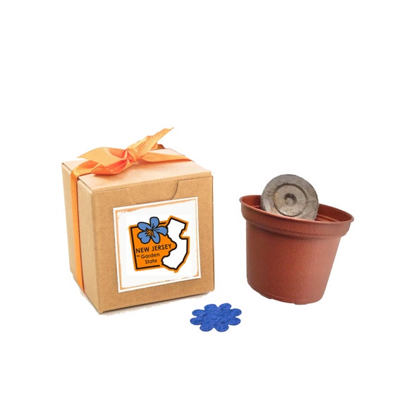 New Jersey State Flower Seed Grow Kit with Native Flower Seeds, Fun