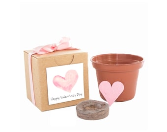 Peek-a-Bloom!™ Petite Wildflower Grow Kit, Fun Personalized Valentine Gift for Friend, Girlfriend, Mom, Daughter, Grandparent or Grandchild