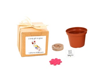 GIFTS to GROW California Wildflower Grow Kit, Native Flower Seeds, Indoor Outdoor Garden Activity, State Souvenir Gift