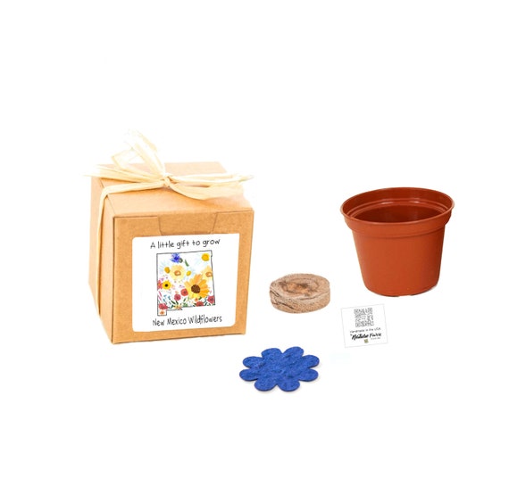 GIFTS to GROW™ New Mexico Wildflower Grow Kit, Small Indoor Outdoor