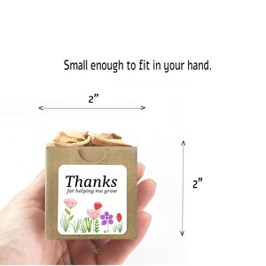 Thank You Gift for Teacher Mini Flower Seed Starter Kit Unique, Fun, Indoor/Outdoor Gift Idea with Optional Personalized Gift Message image 2