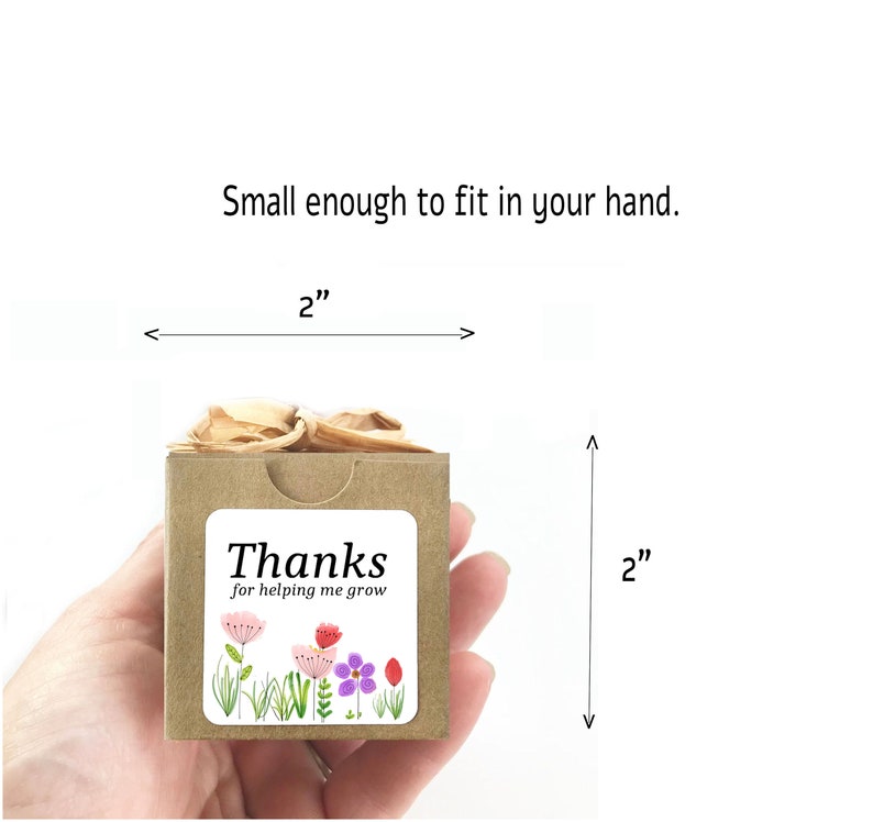 Thank You Gift for Teacher Mini Flower Seed Starter Kit Unique, Fun, Indoor/Outdoor Gift Idea with Optional Personalized Gift Message image 2