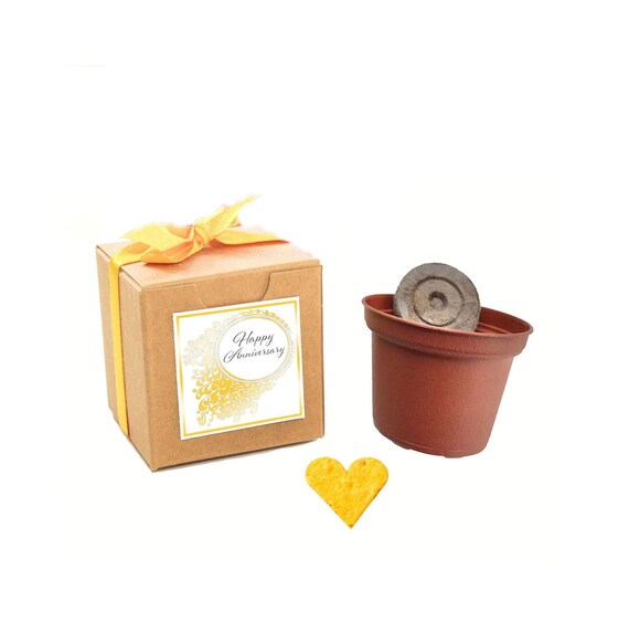 Happy Anniversary Garden Kit, Heart Gift Set with Wildflower Seeds, Grow Your Own Flowers, Perfect for First Anniversaries Il_570xn