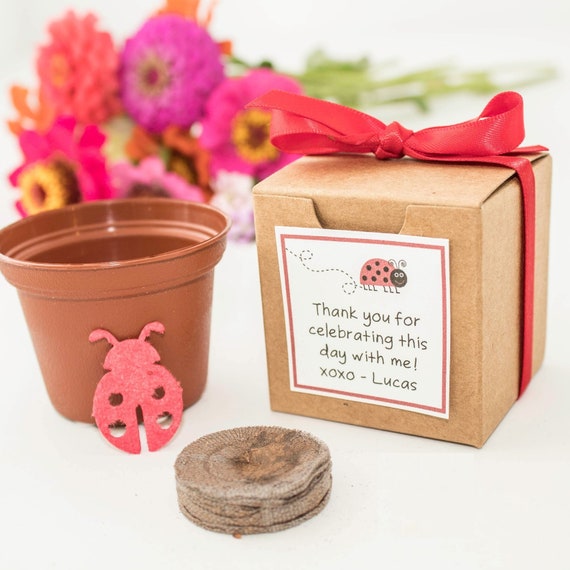 Mini Plantable Seed Paper Red Lady Bug Flower Garden Grow Kits, Unique Personalized Ladybug Birthday Party Favors & Garden Gifts Il_570xn