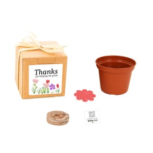 Thank You Gift for Teacher Mini Flower Seed Starter Kit Unique, Fun, Indoor/Outdoor Gift Idea with Optional Personalized Gift Message image 1