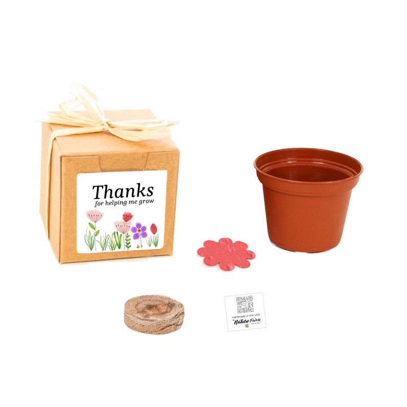 Thank You Gift for Teacher Mini Flower Seed Starter Kit Unique, Fun, Indoor/Outdoor Gift Idea with Optional Personalized Gift Message image 1