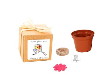 GIFTS to GROW  Alaska Wildflower Grow Kit, Small, Sustainable, Fun, Indoor Outdoor Educational Gift Experience, Beginner Gardening Gift