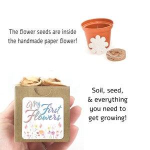 Mini Flower Garden Growing Kit Baby Shower Gift or Favor, Rainbow First Flower Growing Kit, Homeschool Activity, DIY Flower Seed Garden image 3