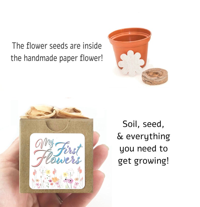 Mini Flower Garden Growing Kit Baby Shower Gift or Favor, Rainbow First Flower Growing Kit, Homeschool Activity, DIY Flower Seed Garden image 3