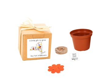 GIFTS to GROW New York Wildflower Grow Kit, Small. Sustainable Indoor Outdoor Flower Garden Experience, New York Gift for Men, Women & Kids